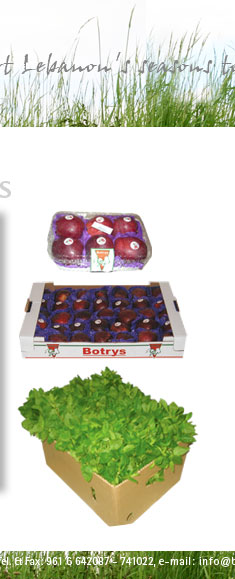 Botrys Products