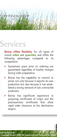 Botrys Services