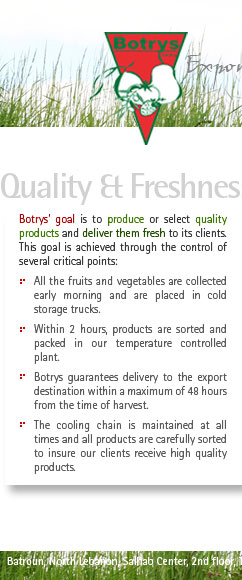 Botrys - Export Lebanon's seasons to everywhere